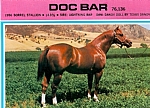 Doc Bar